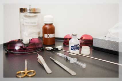 Behçet Hastalığı